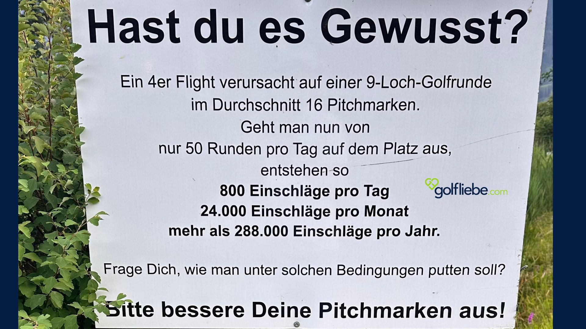 Pitchmarken verursachen Schäden - Golfliebe.com