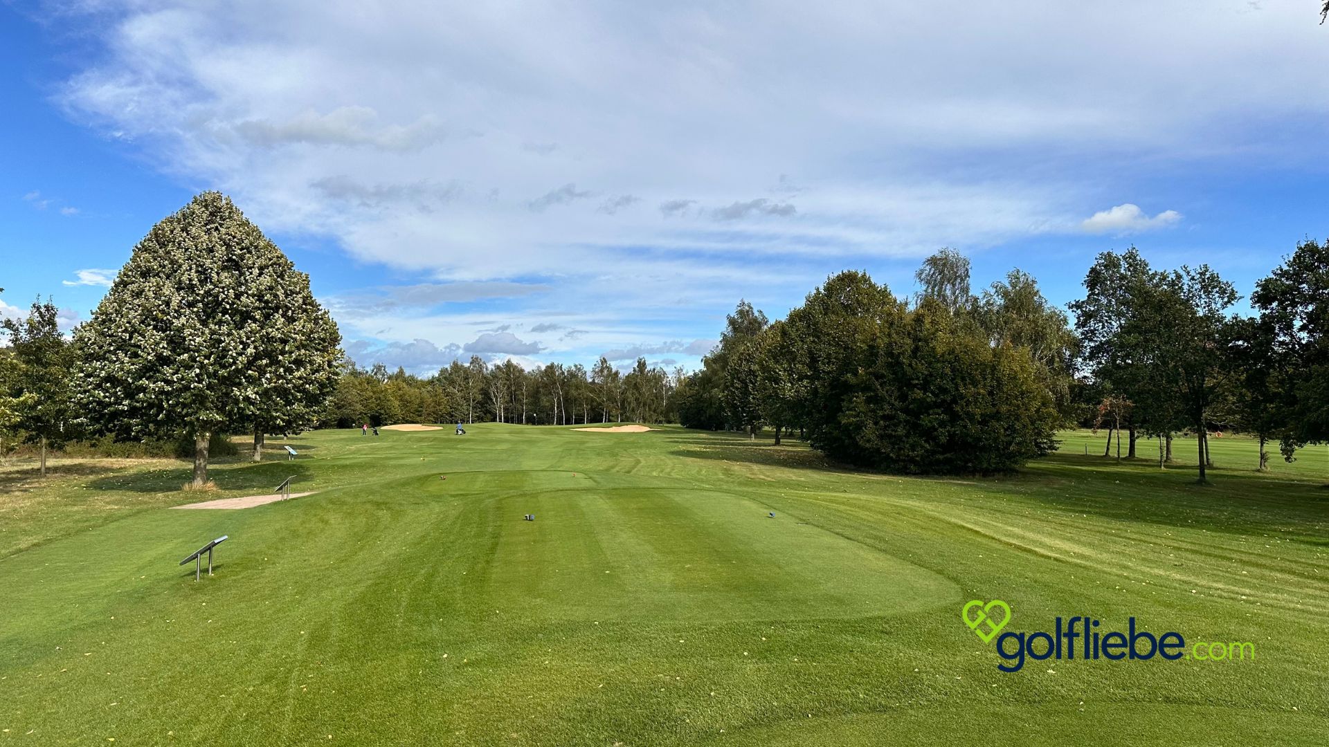 Golftrophy 2024 im Golfclub Peine Edemissen Golfnetzwerk Hannover (5)