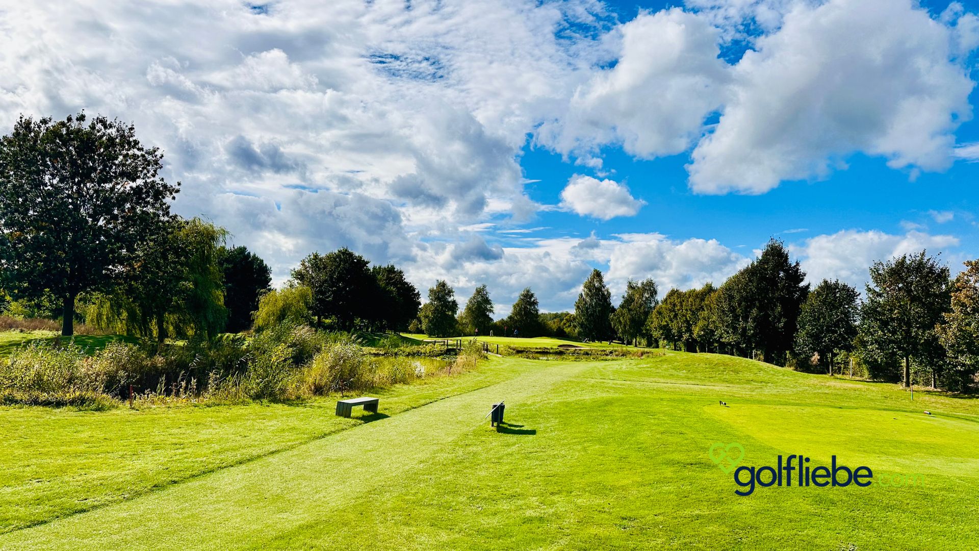 Golftrophy 2024 im Golfclub Peine Edemissen Golfnetzwerk Hannover (9)