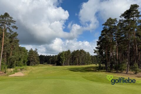 Golfplatz Lüneburger Heide – Warum der Golf Club St. Dionys zu den schönsten Plätzen Deutschlands gehört 3