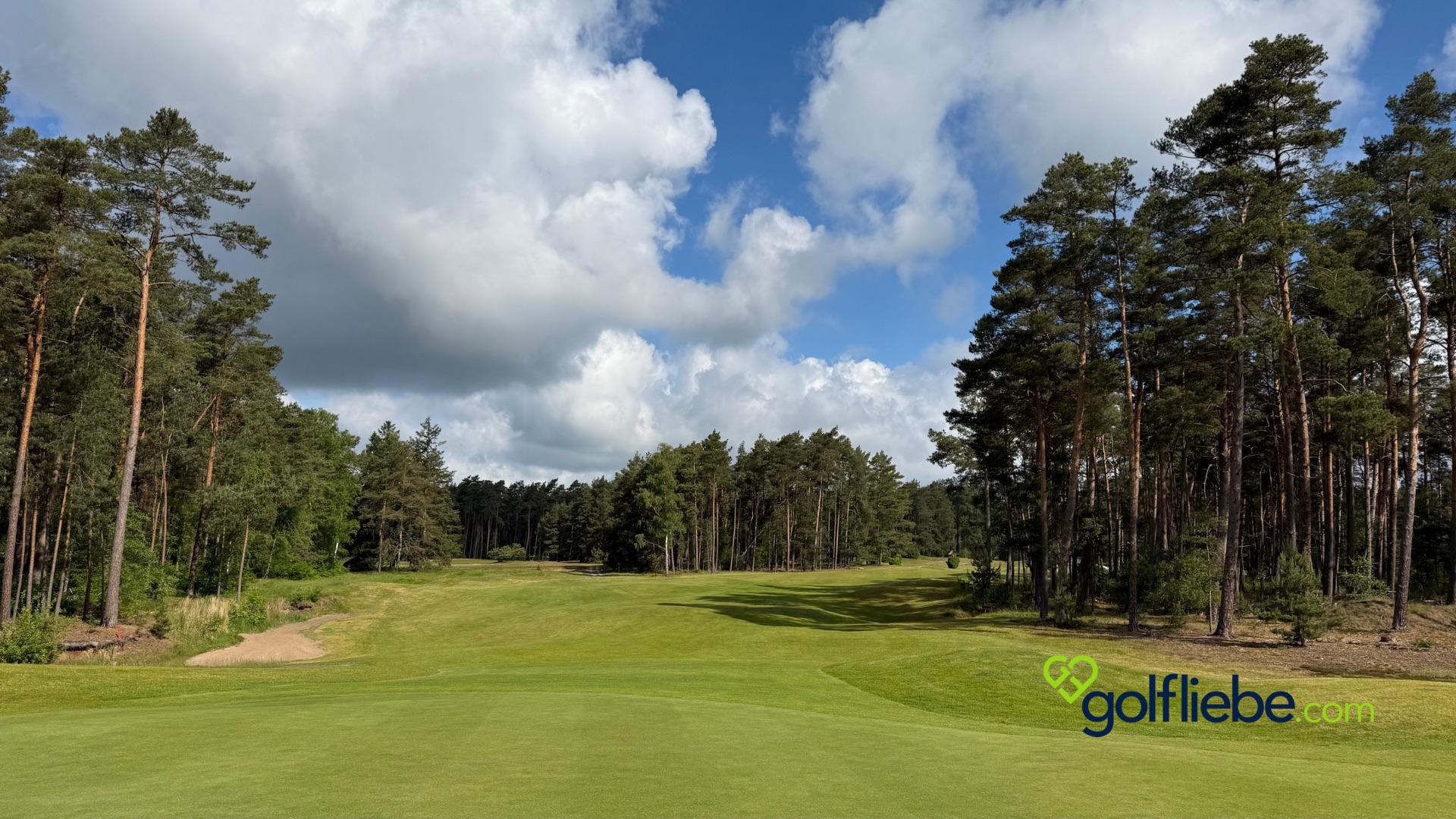 Golfplatz Lüneburger Heide – Warum der Golf Club St. Dionys zu den schönsten Plätzen Deutschlands gehört 3