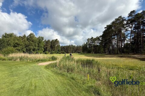 Golfplatz Lüneburger Heide – Warum der Golf Club St. Dionys zu den schönsten Plätzen Deutschlands gehört 4