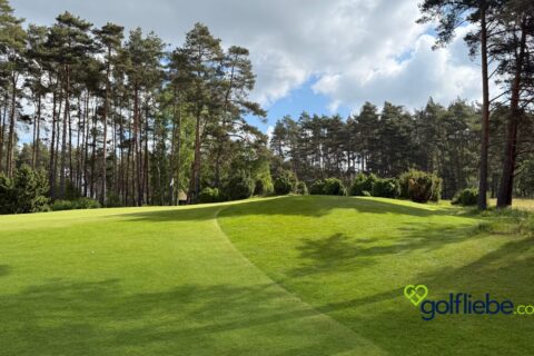 Golfplatz Lüneburger Heide – Warum der Golf Club St. Dionys zu den schönsten Plätzen Deutschlands gehört 5