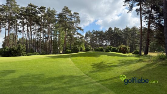 Golfplatz Lüneburger Heide – Warum der Golf Club St. Dionys zu den schönsten Plätzen Deutschlands gehört 5