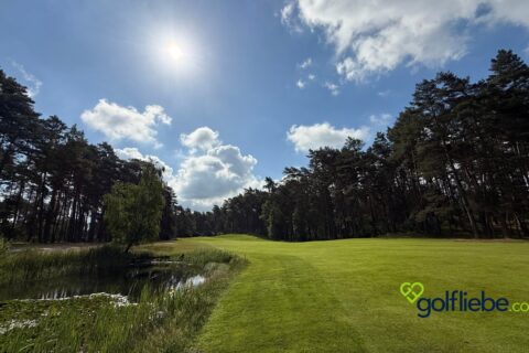 Golfplatz Lüneburger Heide – Warum der Golf Club St. Dionys zu den schönsten Plätzen Deutschlands gehört 6