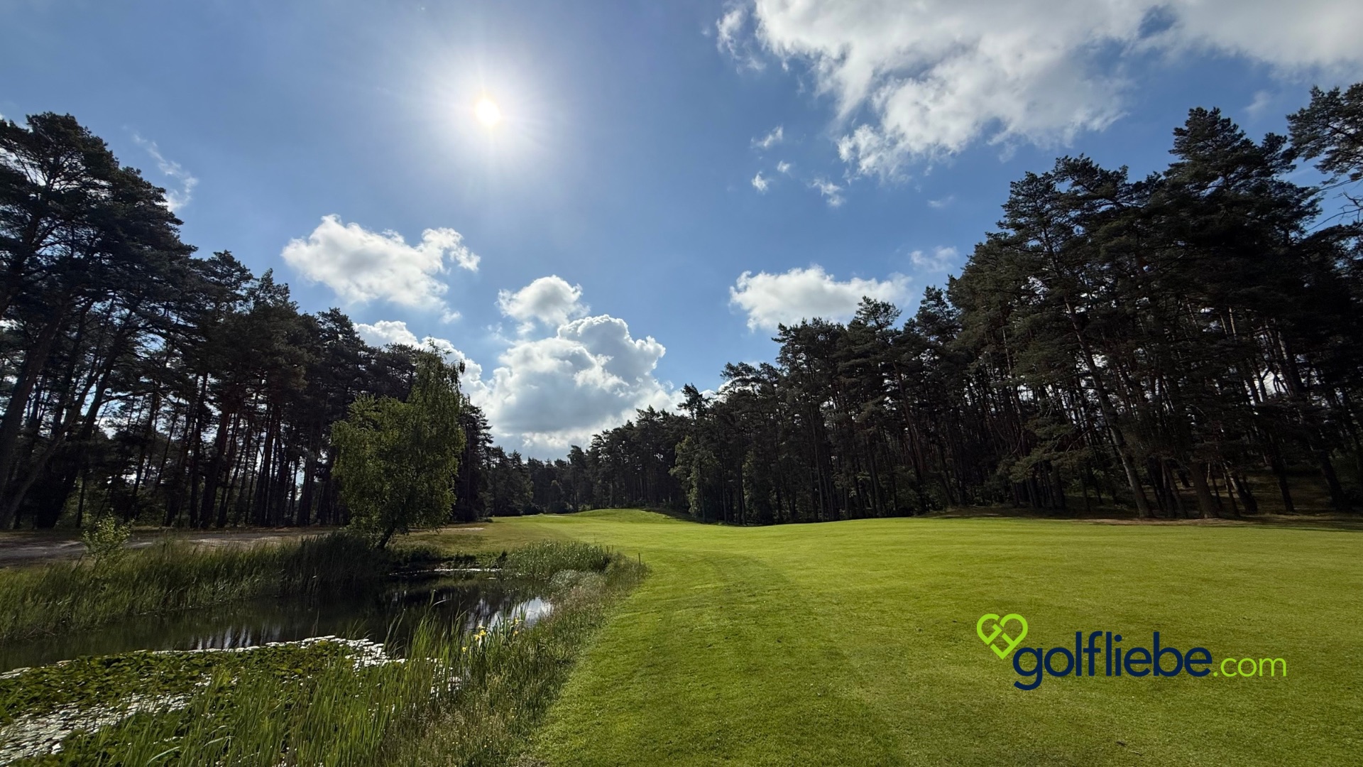 Golfplatz Lüneburger Heide – Warum der Golf Club St. Dionys zu den schönsten Plätzen Deutschlands gehört 6