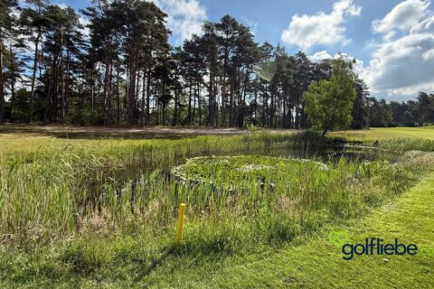 Golfplatz Lüneburger Heide – Warum der Golf Club St. Dionys zu den schönsten Plätzen Deutschlands gehört 7