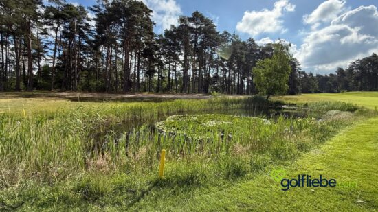 Golfplatz Lüneburger Heide – Warum der Golf Club St. Dionys zu den schönsten Plätzen Deutschlands gehört 7