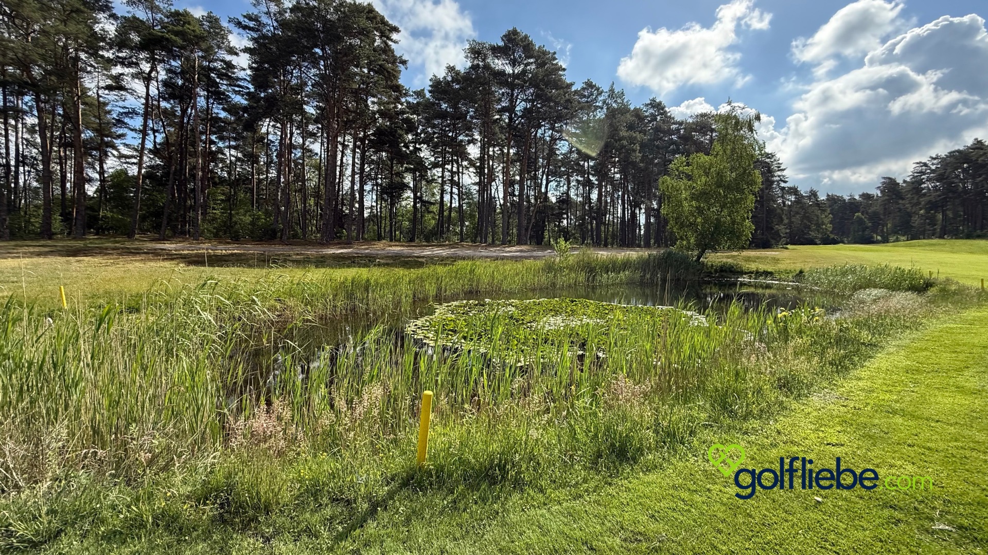 Golfplatz Lüneburger Heide – Warum der Golf Club St. Dionys zu den schönsten Plätzen Deutschlands gehört 7 Golfplatz Lüneburger Heide – Warum der Golf Club St. Dionys zu den schönsten Plätzen Deutschlands gehört 7
