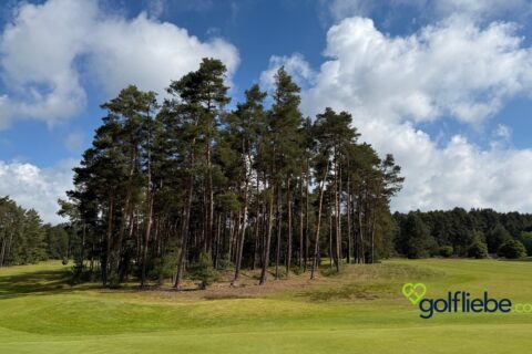 Golfplatz Lüneburger Heide – Warum der Golf Club St. Dionys zu den schönsten Plätzen Deutschlands gehört 8