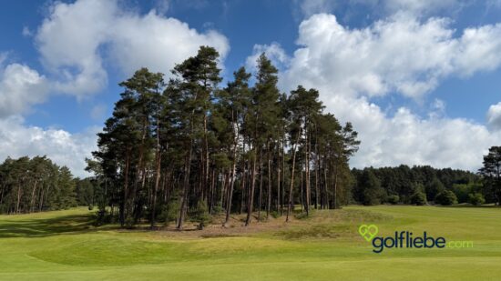 Golfplatz Lüneburger Heide – Warum der Golf Club St. Dionys zu den schönsten Plätzen Deutschlands gehört 8