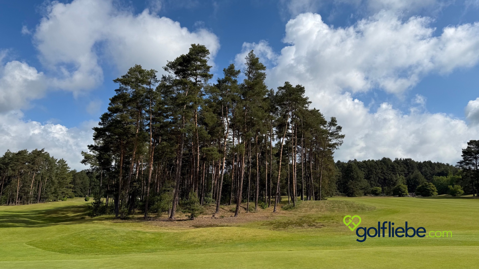 Golfplatz Lüneburger Heide – Warum der Golf Club St. Dionys zu den schönsten Plätzen Deutschlands gehört 8 Golfplatz Lüneburger Heide – Warum der Golf Club St. Dionys zu den schönsten Plätzen Deutschlands gehört 8